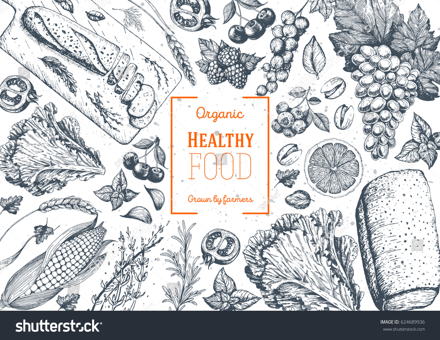 Healthy food frame vector illustration. Vegetables, fruits, bread, berries hand drawn. Organic food set. Vegetarian food collection #624689936