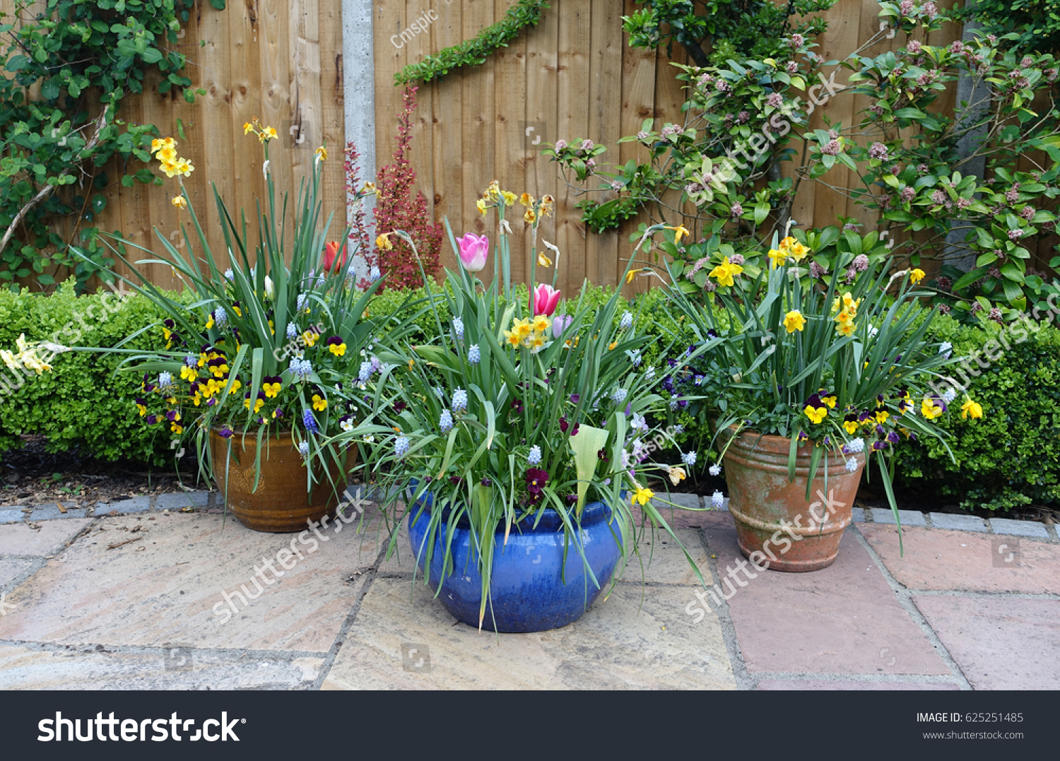 Pots containing spring flowers on a patio                       #625251485