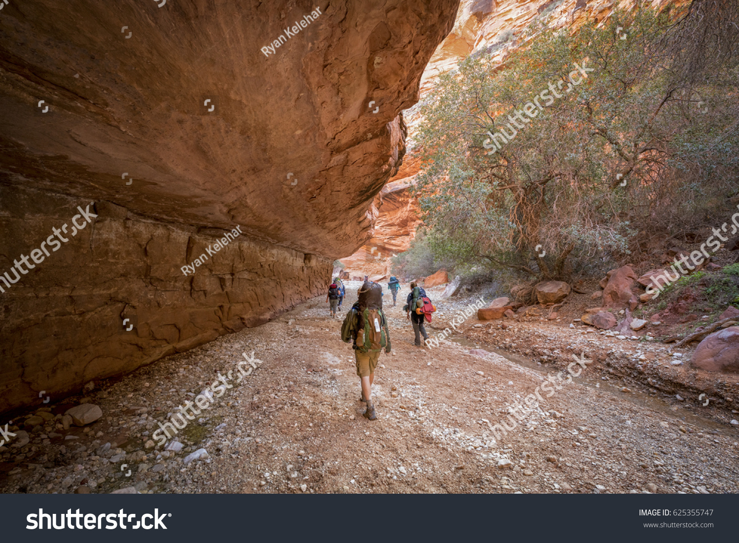 Group of Hikers backpacking climbing to Havasu Falls, Grand Canyon, Arizona #625355747