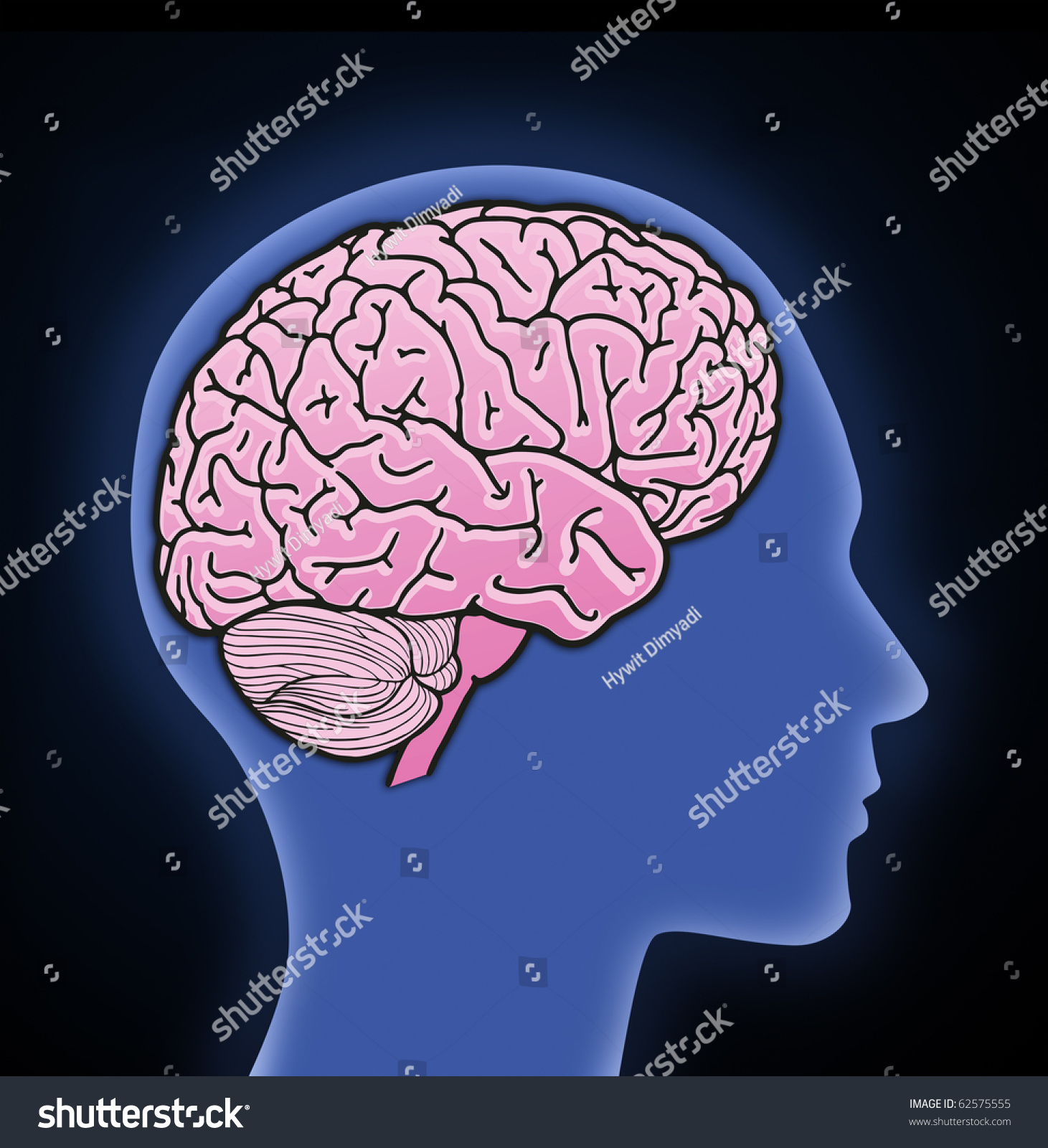 Rendered profile view of a human brain - Royalty Free Stock Photo ...