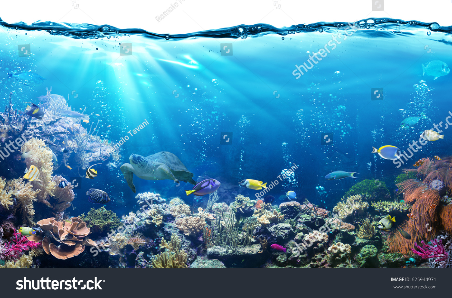 Underwater Scene With Reef And Tropical Fish
 #625944971