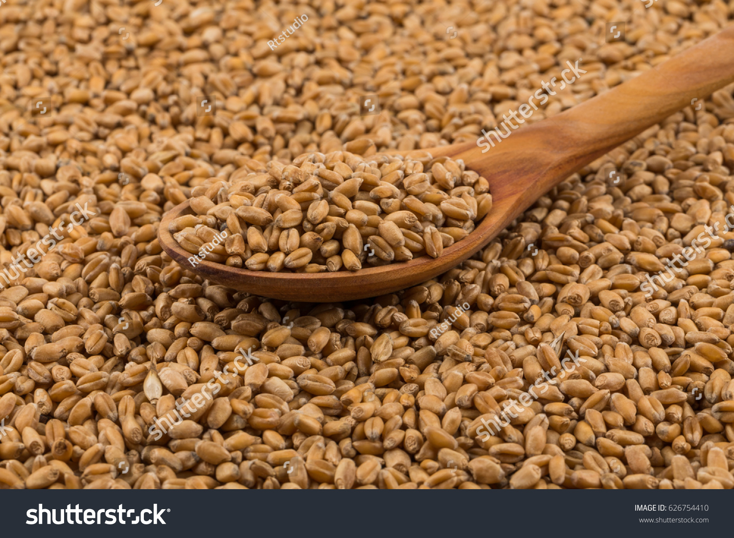 Spelt grain (dinkel wheat) on a spoon and background #626754410