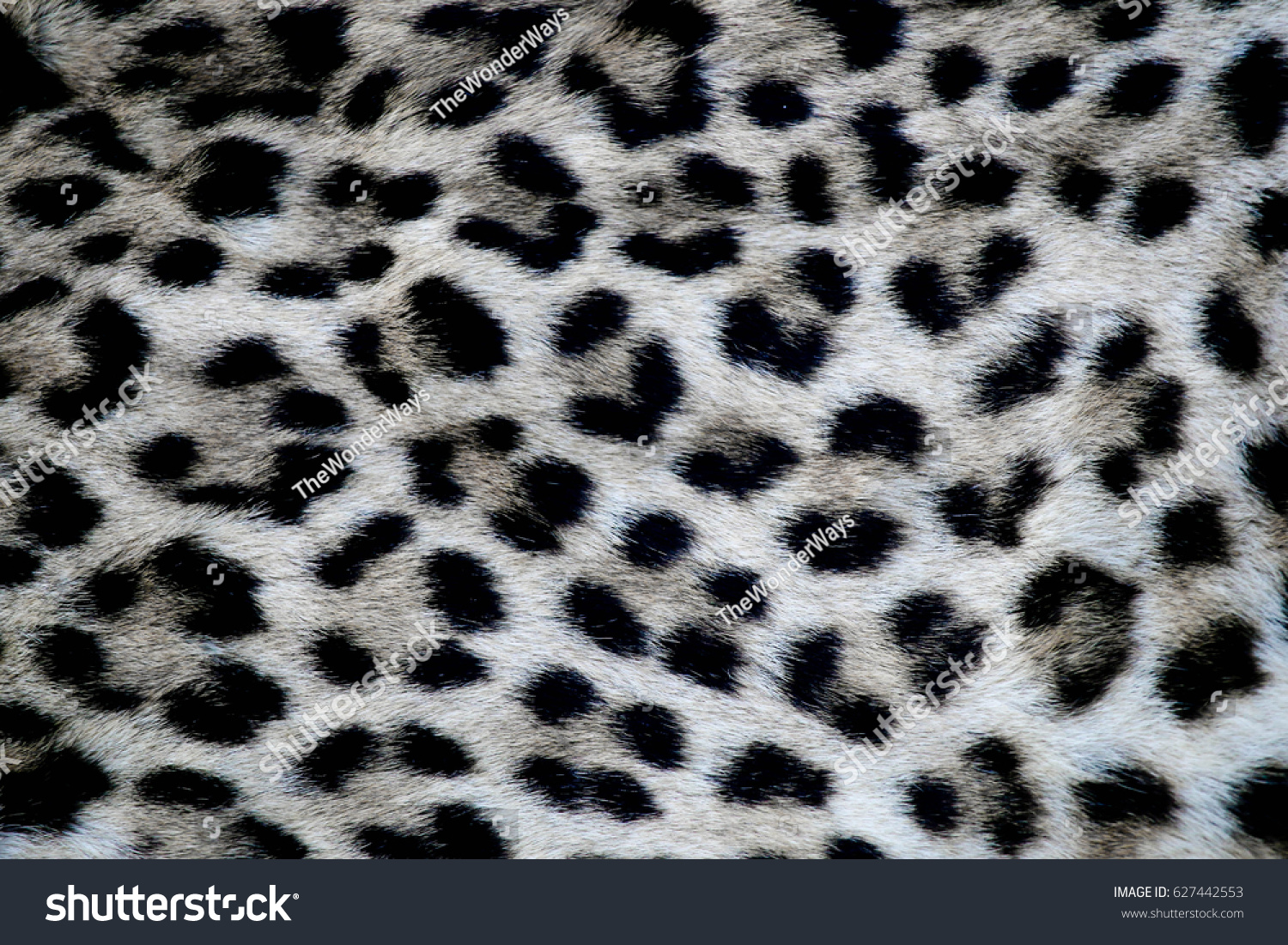 Leopard fur #627442553