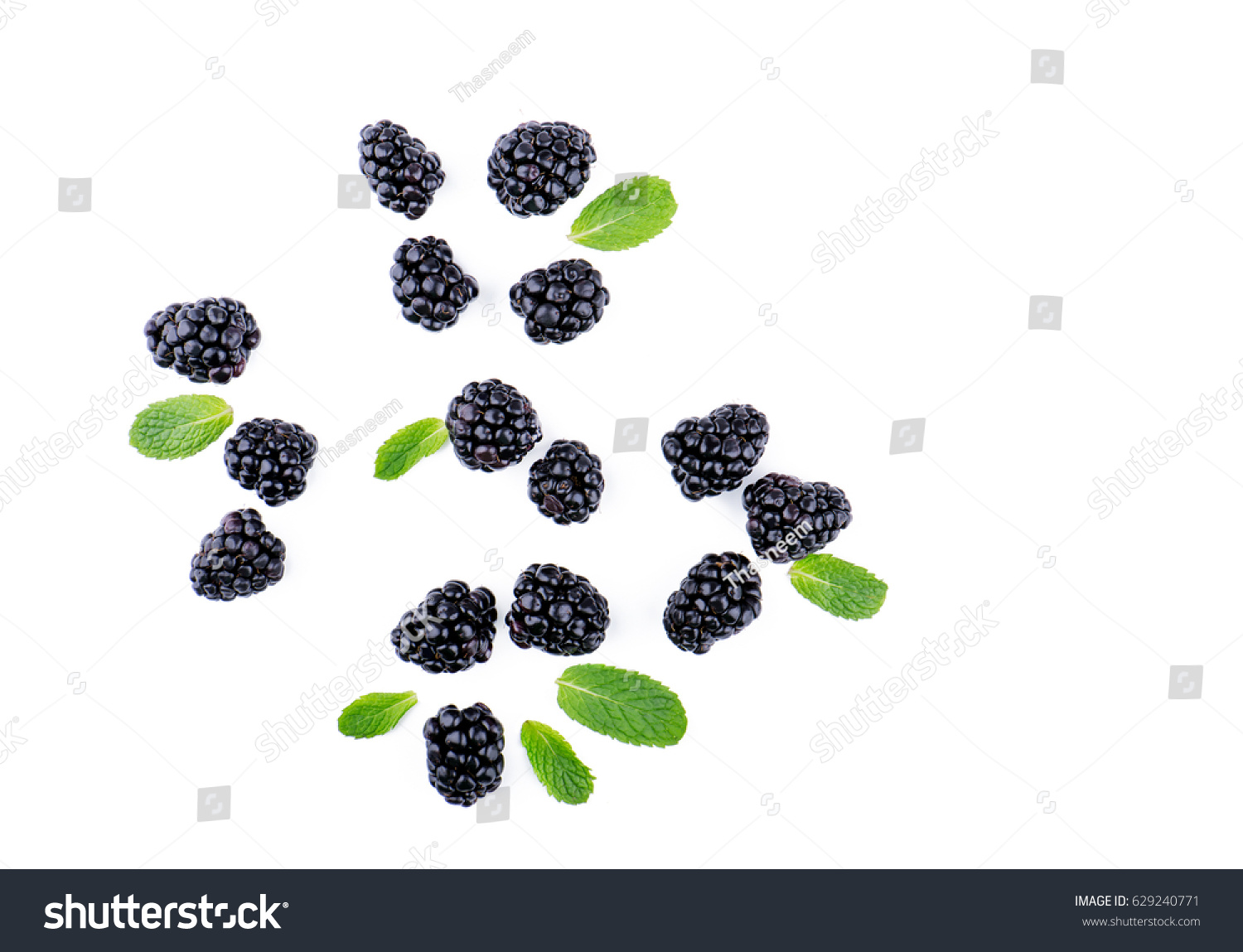 Blackberries and leaves top view #629240771