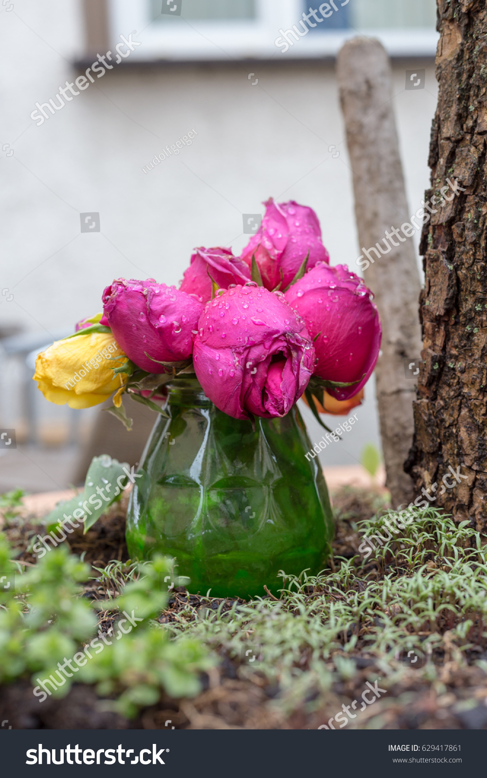 on a rainy day in may in south german historical city view on colorful flowers also in vase #629417861