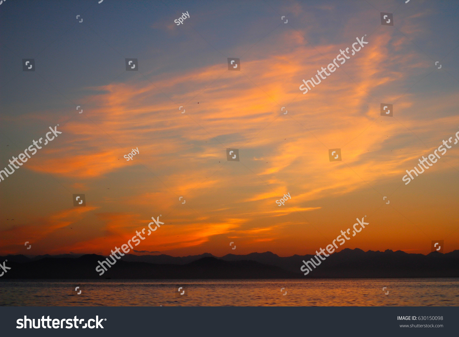 Beautiful sunset and sea gulls #630150098