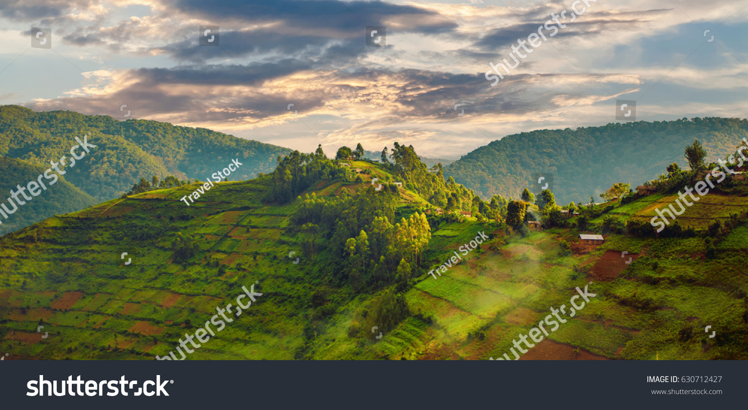 Beautiful landscape in southwestern Uganda, at the Bwindi Impenetrable Forest National Park, at the borders of Uganda, Congo and Rwanda. The Bwindi National Park is the home of the mountain gorillas. #630712427