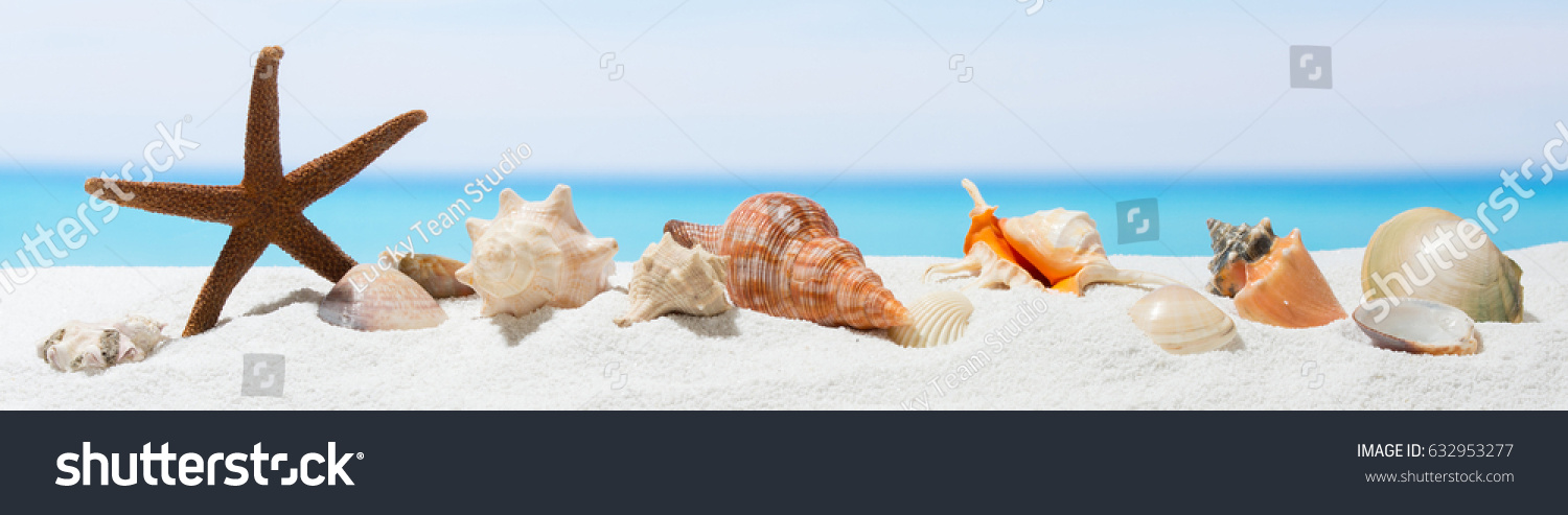 Banner summer background with white sand. Seashell and starfish on the beach.  #632953277