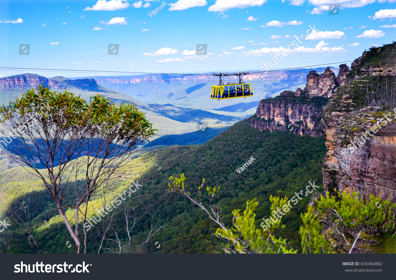 Rainforest cableway landscape in Blue Mountains, Australia #636464882