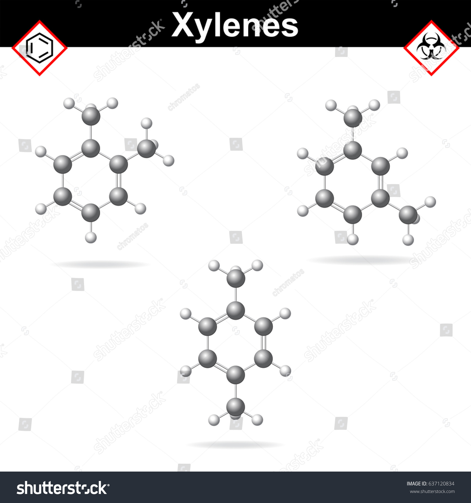 Xylene Isomers Ortho Meta And Para Isomers Royalty Free Stock Vector 637120834