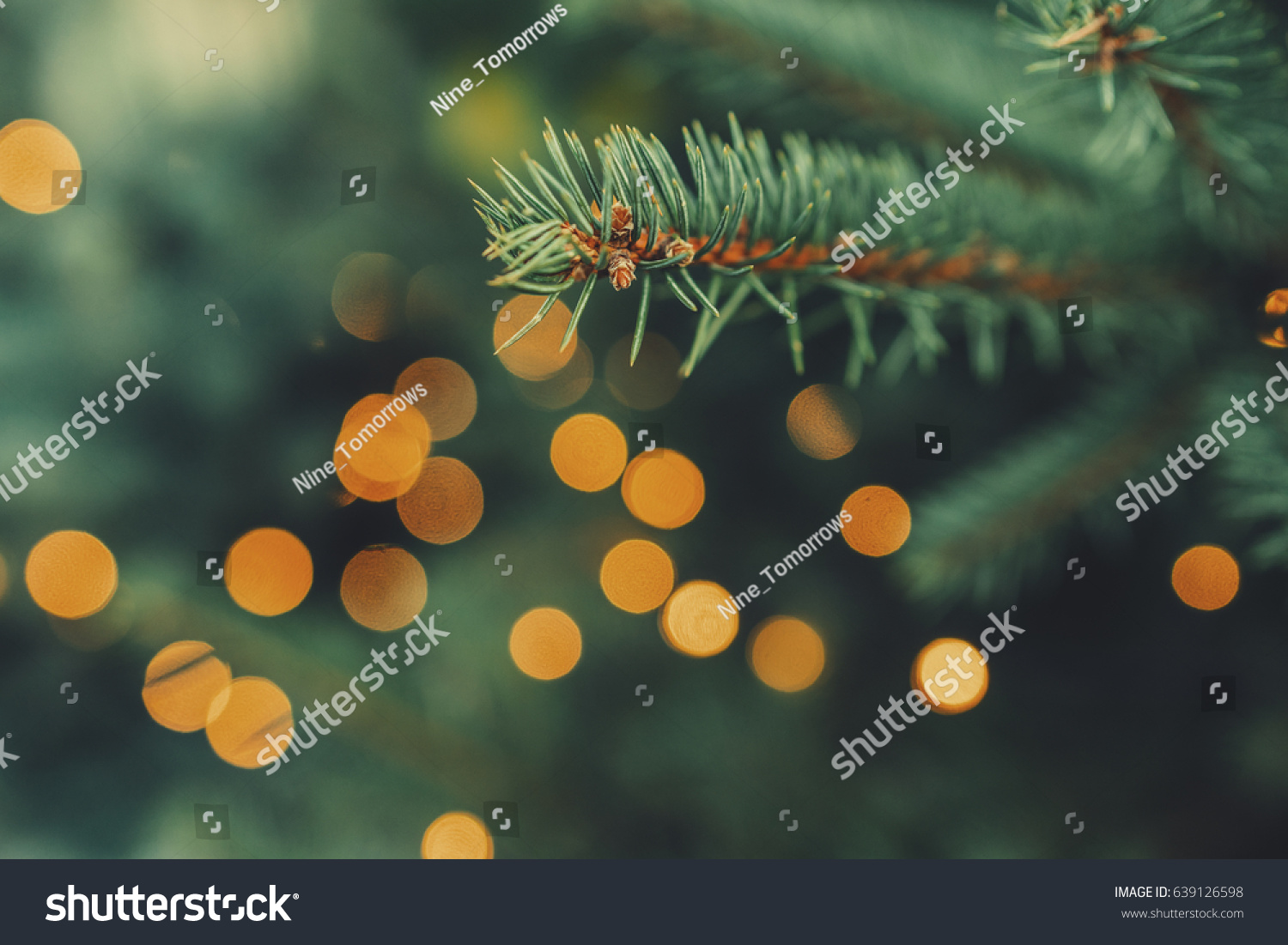 Fir-tree spruce branch with orange bokeh unfocused sparkles decor lights. Christmas new year year background template. Holiday wallpaper concept. Shallow focus. Vintage effect. Copy space. #639126598