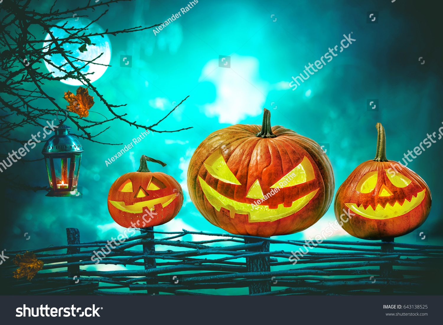 Halloween pumpkins in front of nightly spooky forest background #643138525