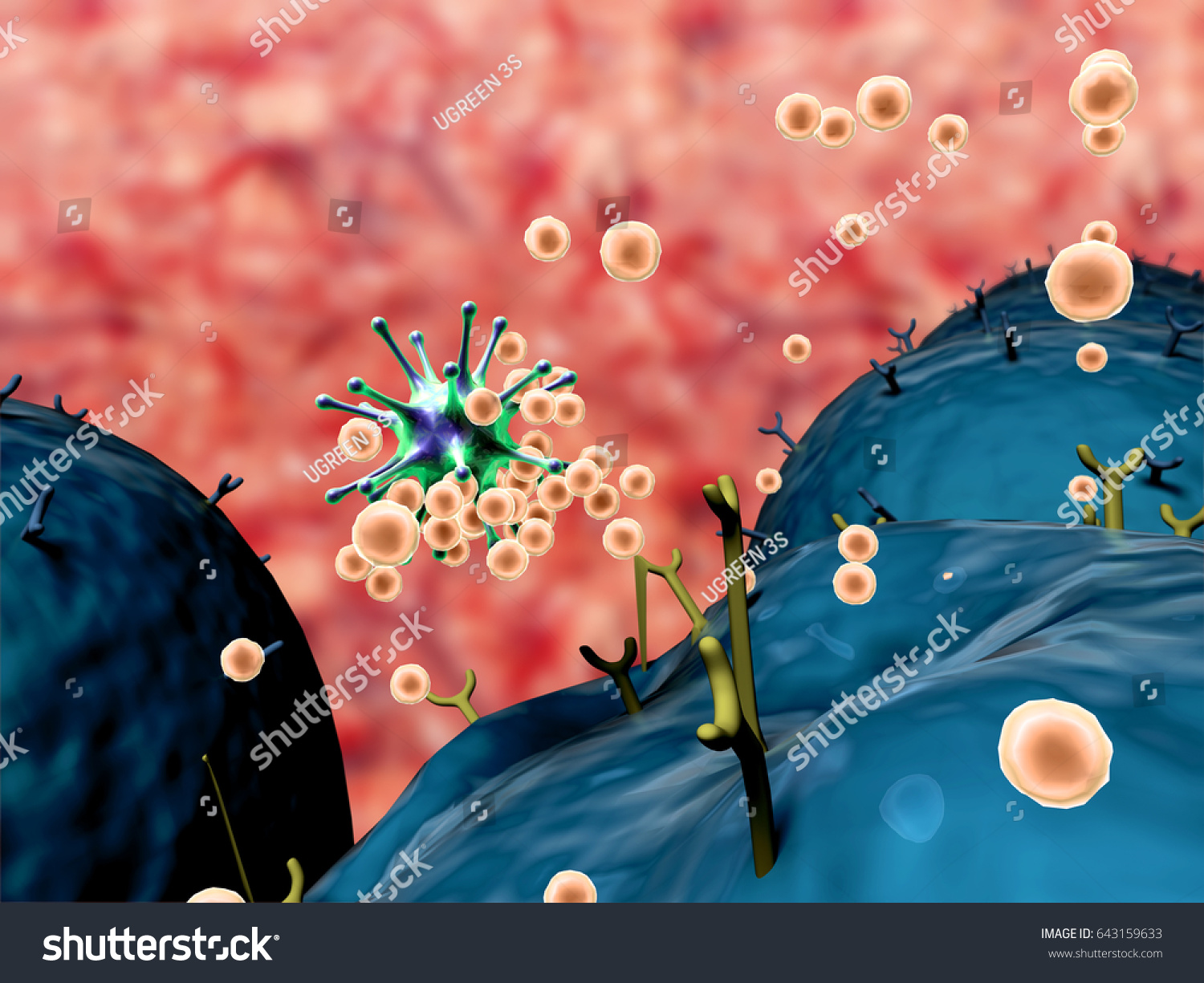 Coronavirus atack the lungs cell, Human Immune System attack the virus, leukocytes attack viruses #643159633