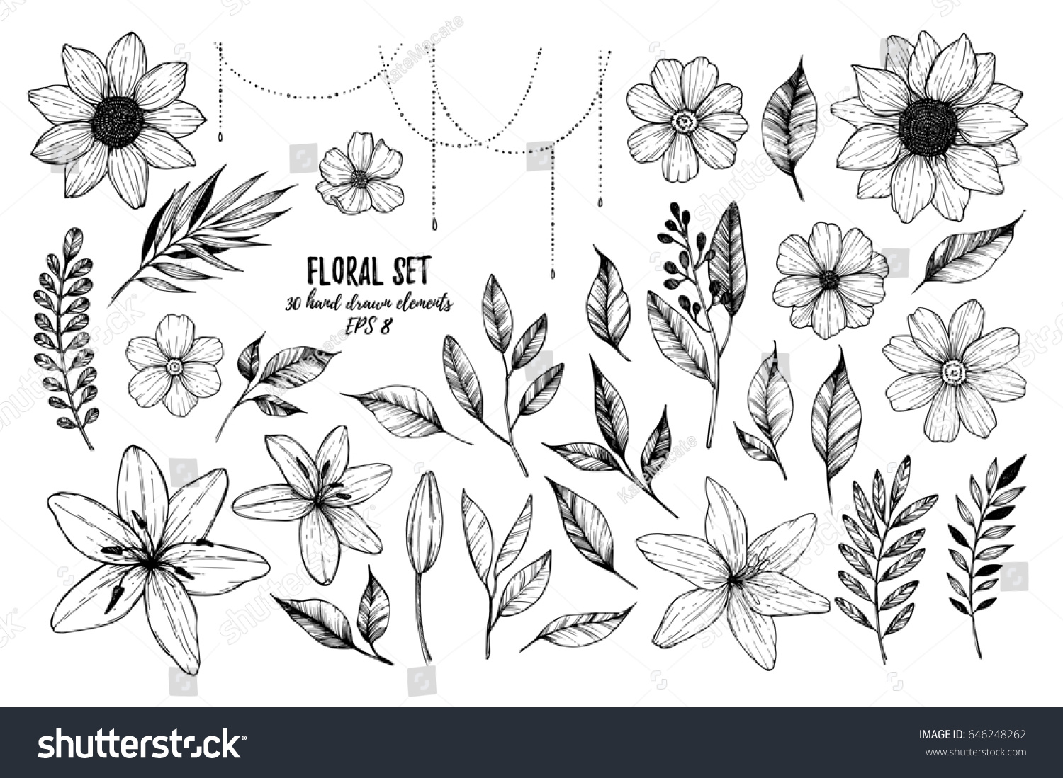 Vector illustrations - Floral set (flowers, leaves and branches). 30 hand drawn design elements in sketch style.  Perfect for invitations, greeting cards, tattoo, prints etc #646248262