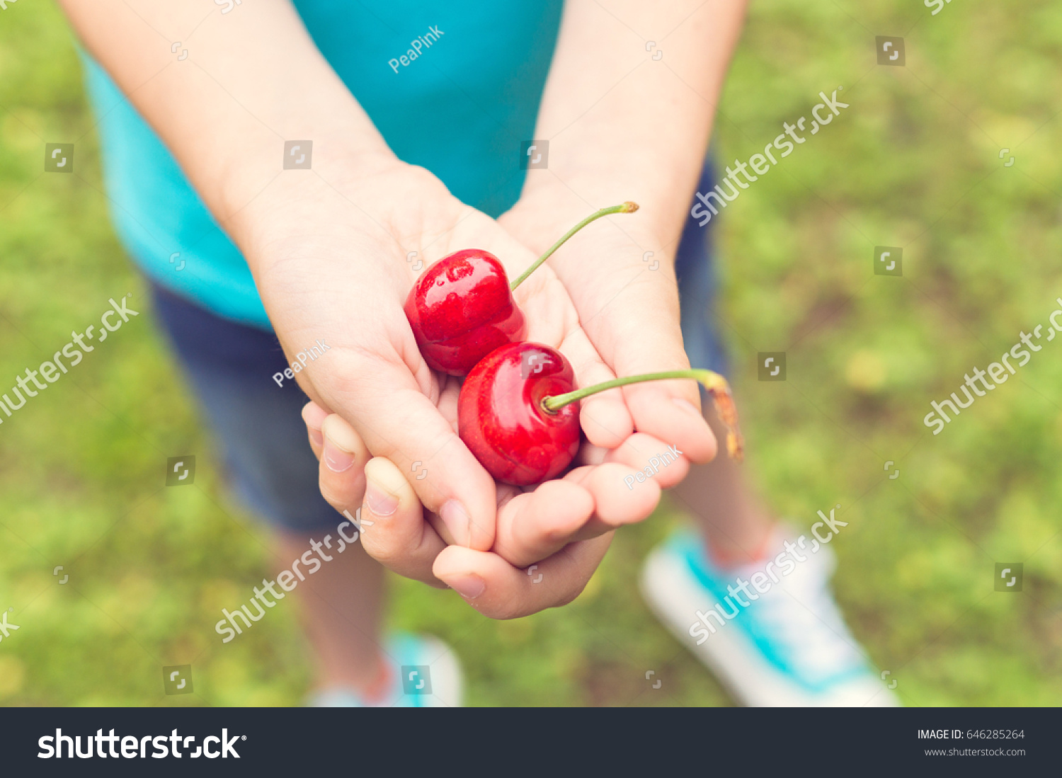 Boy Holding Red Cherries #646285264