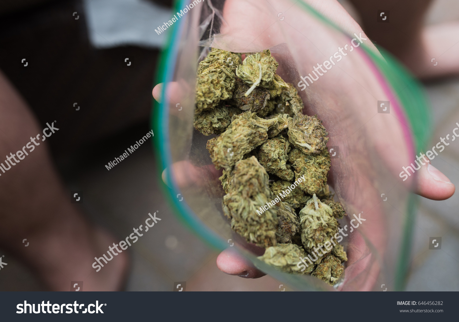 Close up looking down into a bag of bright green weed nugs. Cannabis and Marijuana background #646456282