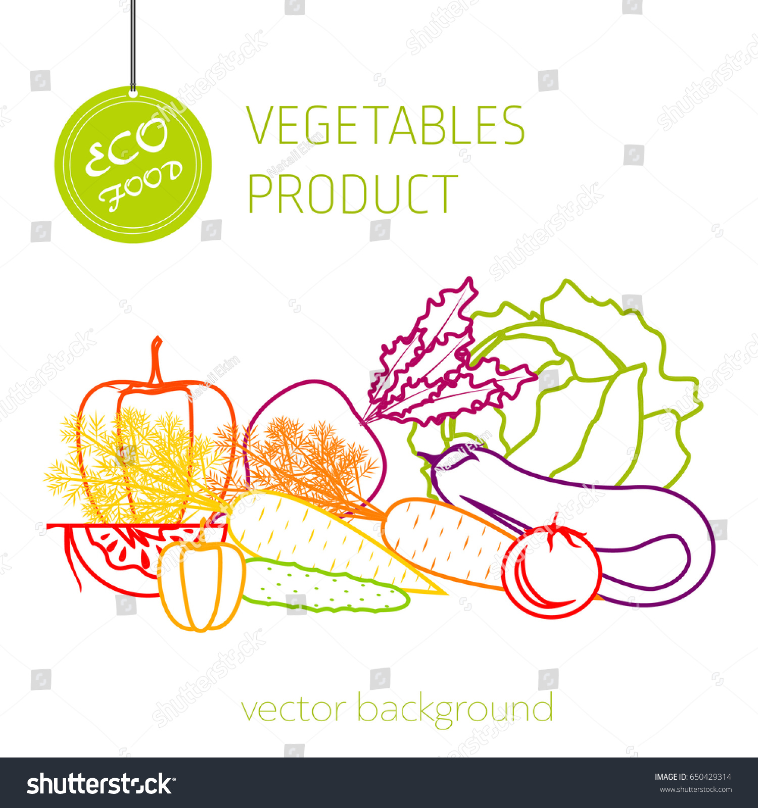 Cabbage, carrot, pepper, cucumber, eggplant, beet, tomato, vegetable set, vector background, fresh vegetables, healthy diet, greeting card
 #650429314
