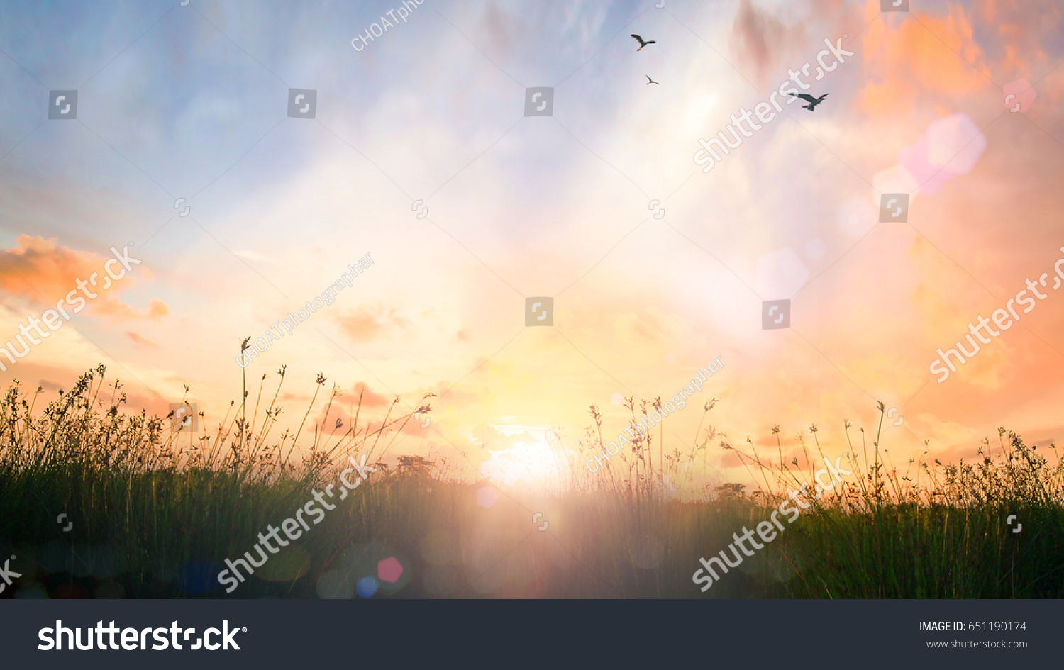 World environment day concept: Calm of country meadow sunrise landscape background #651190174
