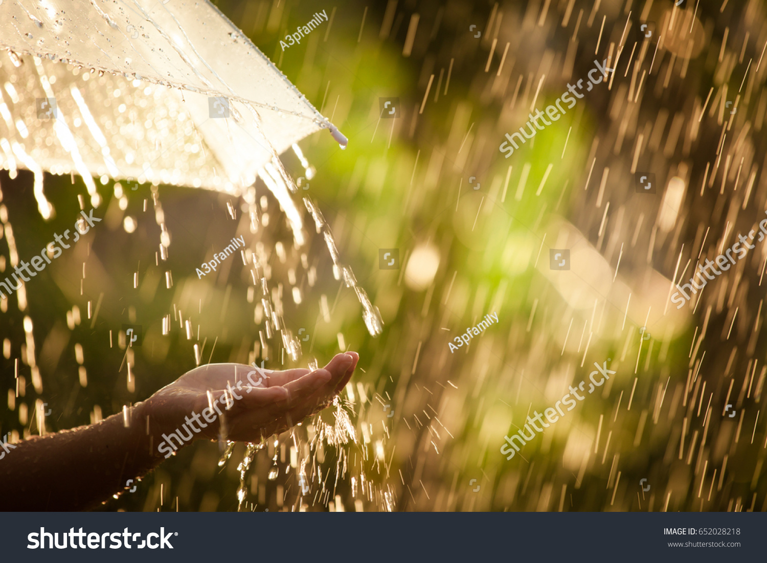 Woman hand with umbrella in the rain in green nature background #652028218
