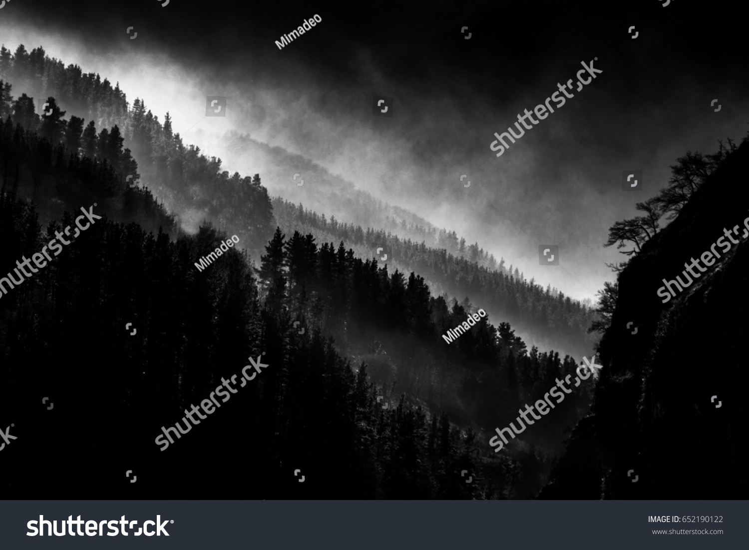 dark landscape with foggy forest #652190122