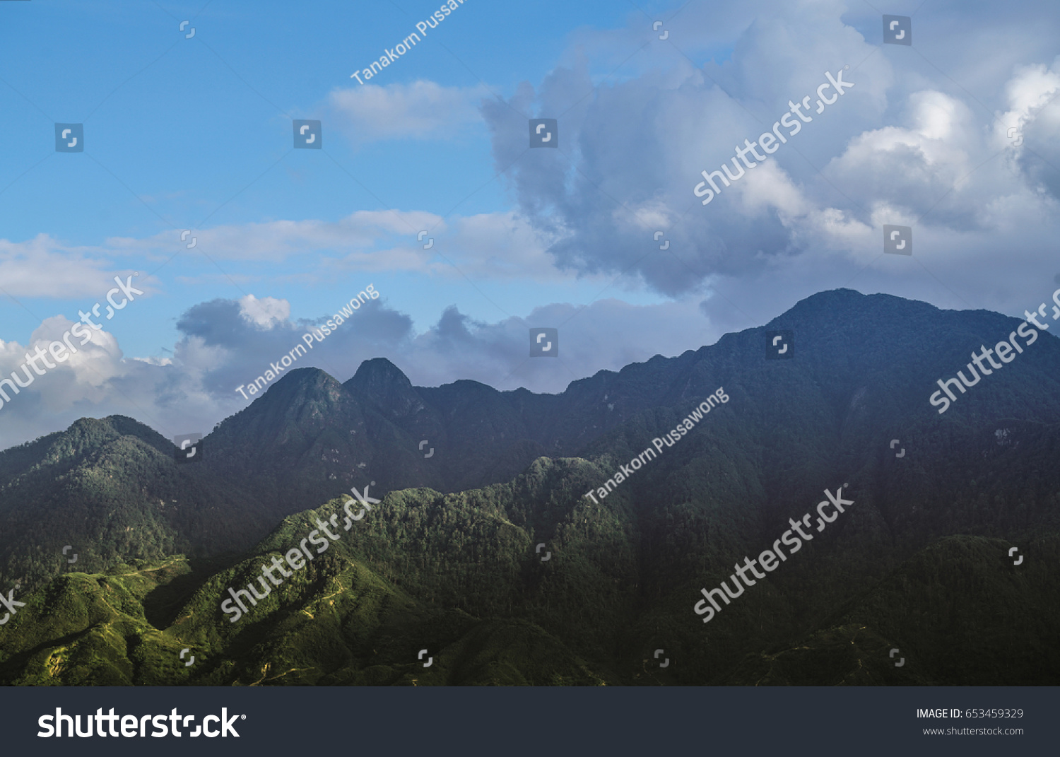  Vietnam Sapa, Tropical forest and mountain in the mist in Sapa , Vietnam. #653459329