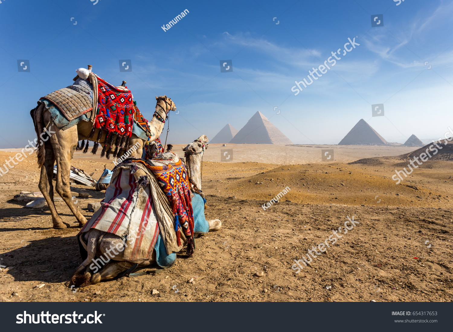 Egypt. Cairo - Giza. General view of pyramids #654317653