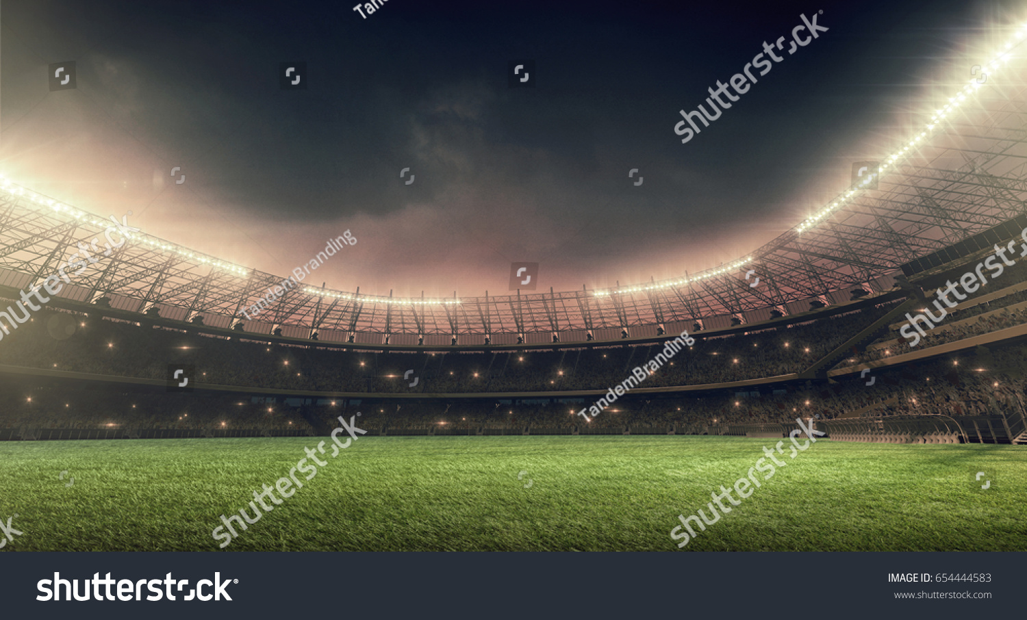 soccer stadium with illumination, green grass and night sky #654444583