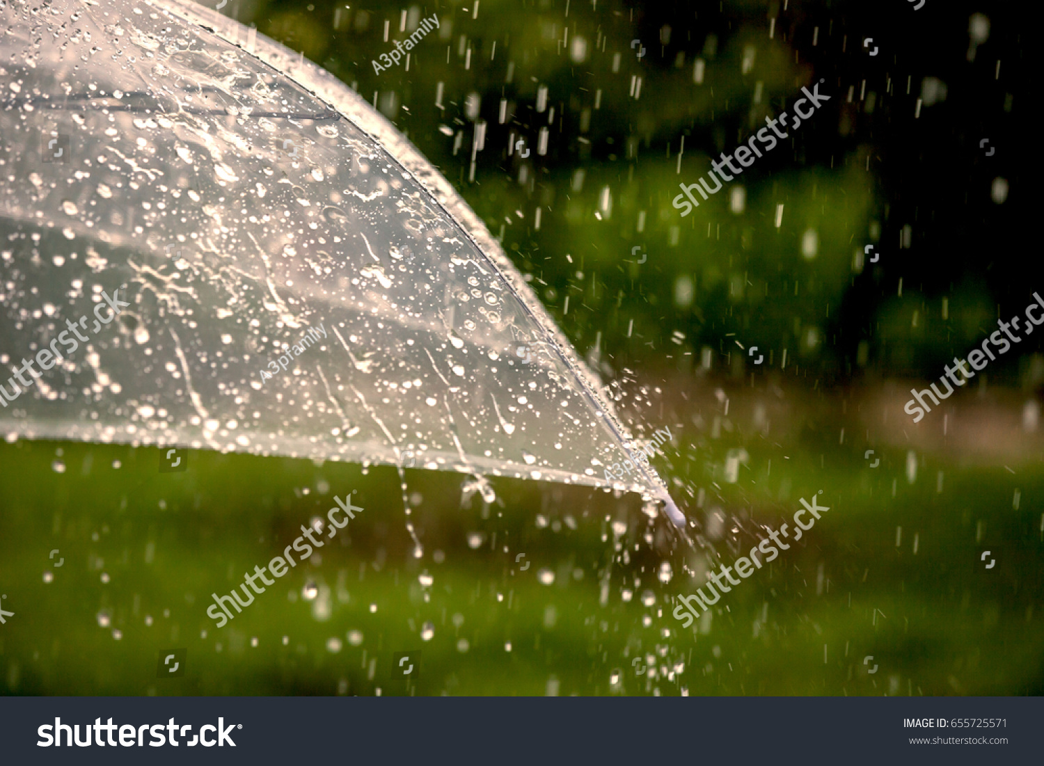 Umbrella in the rain in green nature background #655725571