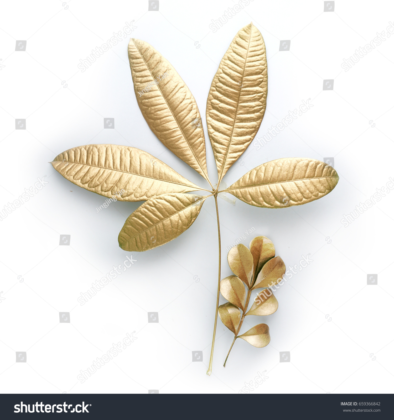 golden  leaf design elements. Decoration elements for invitation, wedding cards, valentines day, greeting cards. Isolated. #659366842