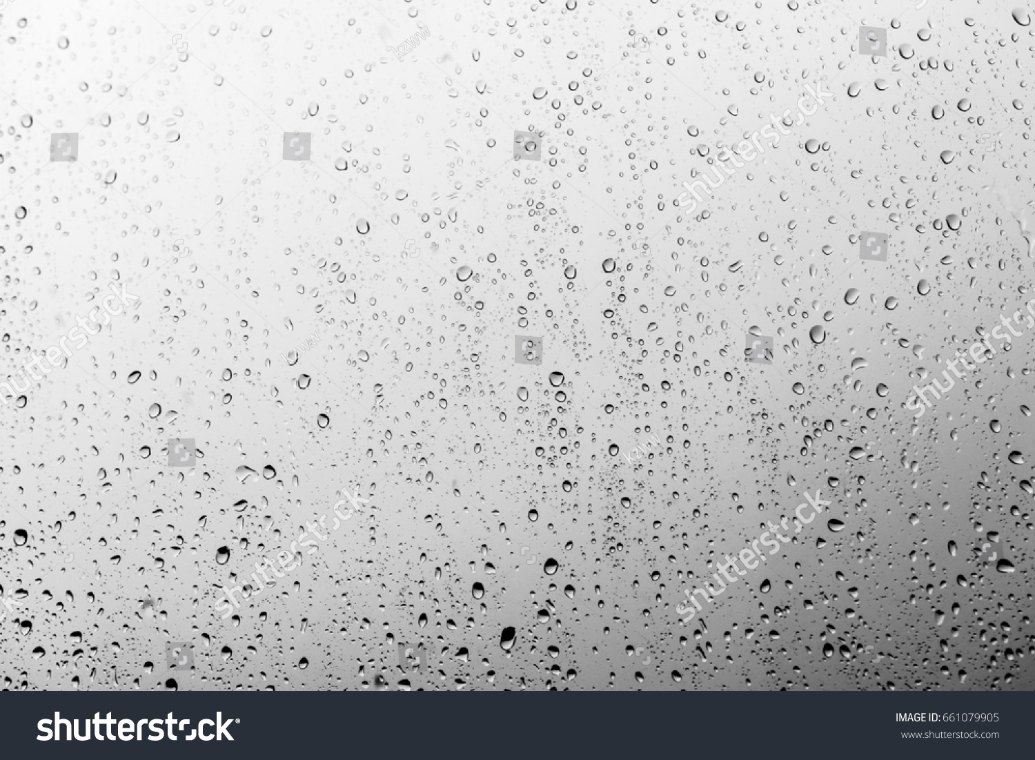 Rain drops on the glass, background #661079905