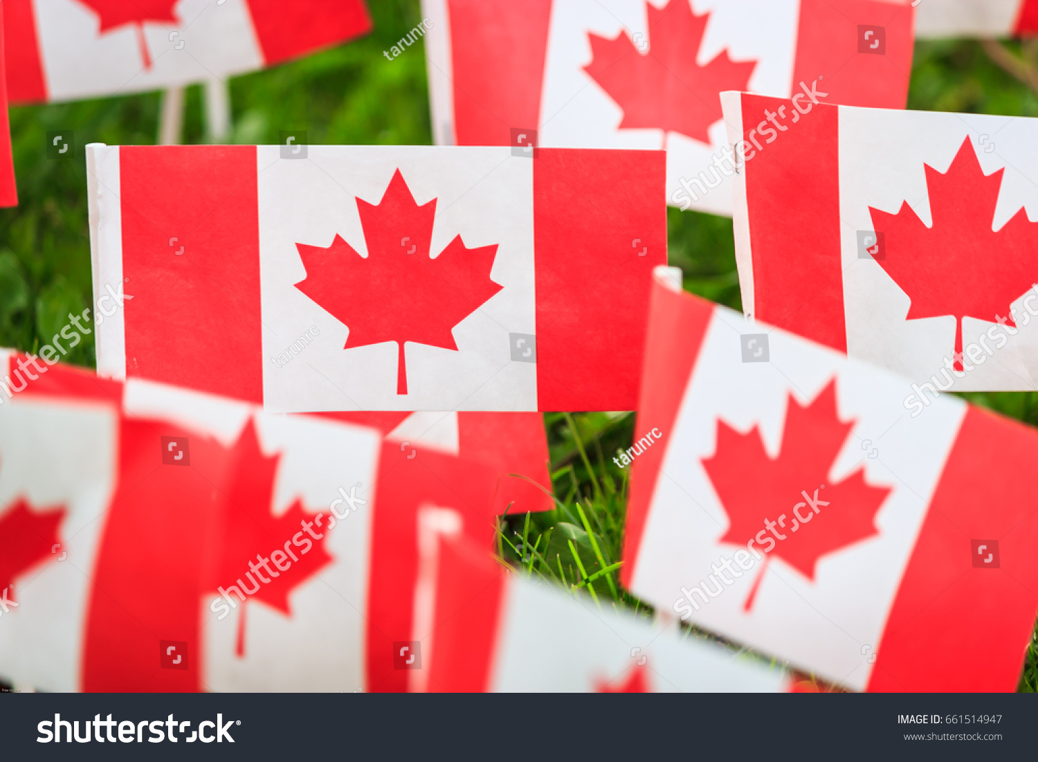 Canada-150, Canada Flag, Canada Celebration #661514947