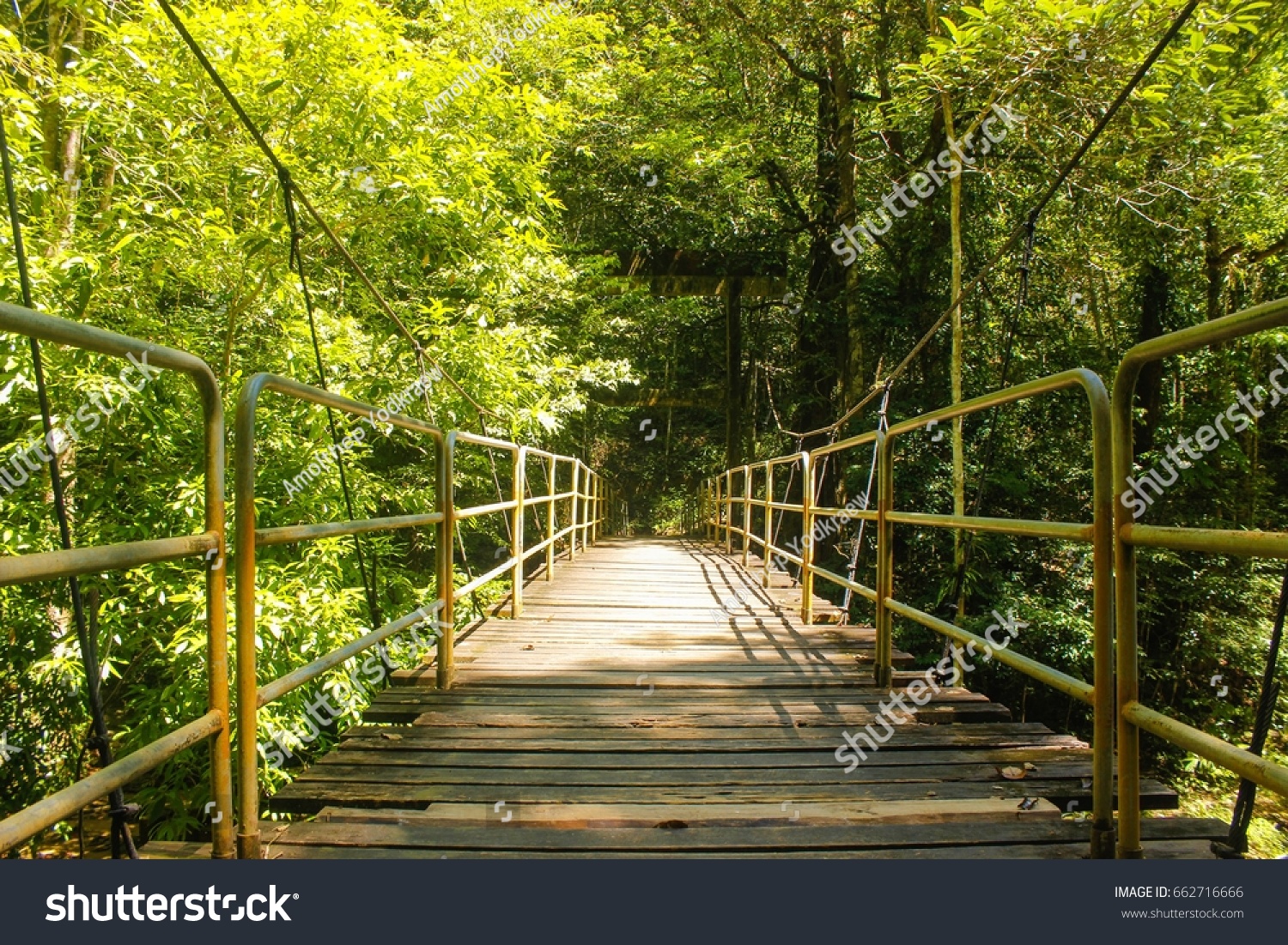 Suspension bridge, Crossing the river, ferriage in the woods #662716666