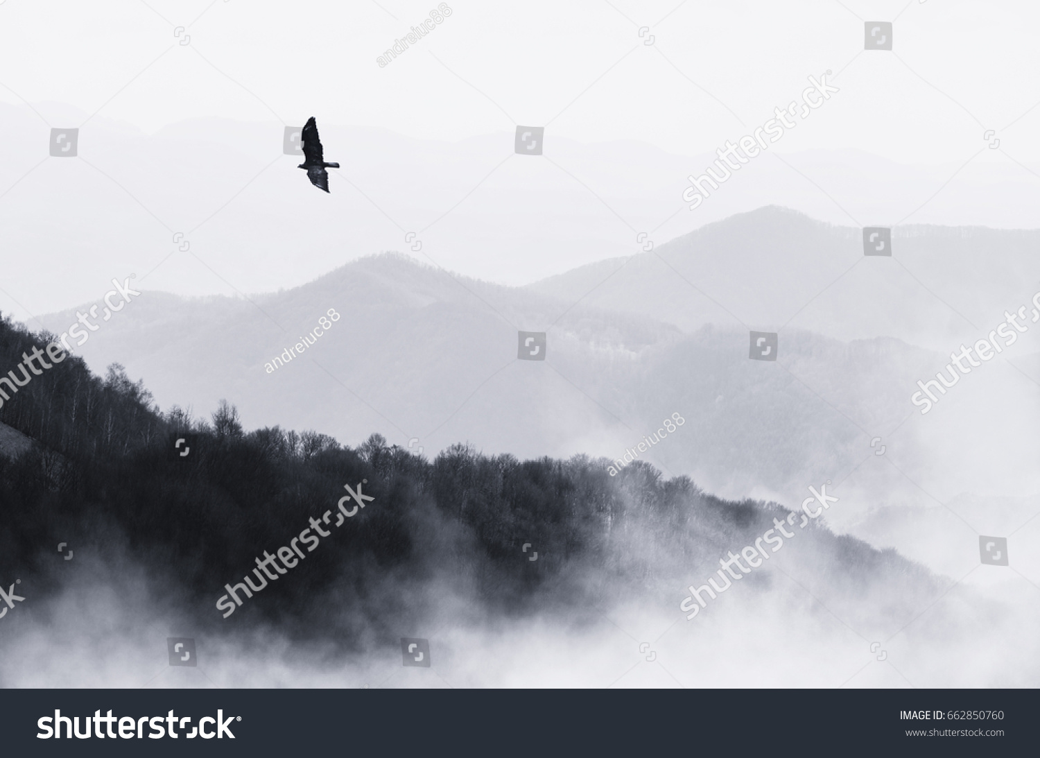 bird flying over misty hills, monochrome nature landscape #662850760