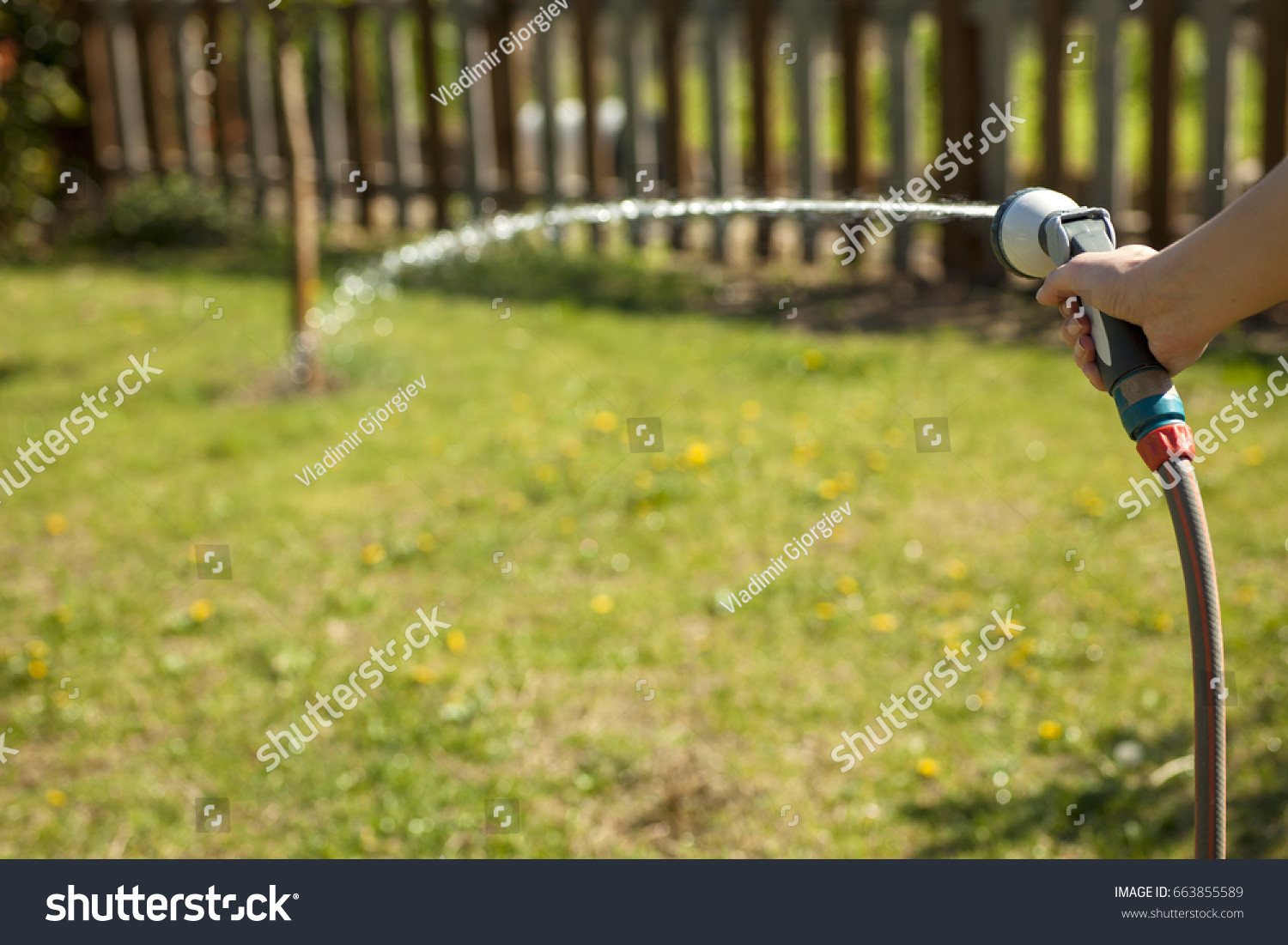 The female hand holds the irrigation shower #663855589