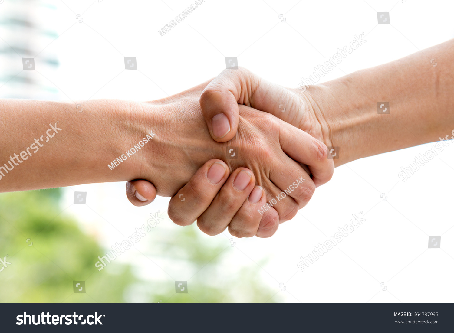 Close up of handshake of business partner after agreement #664787995