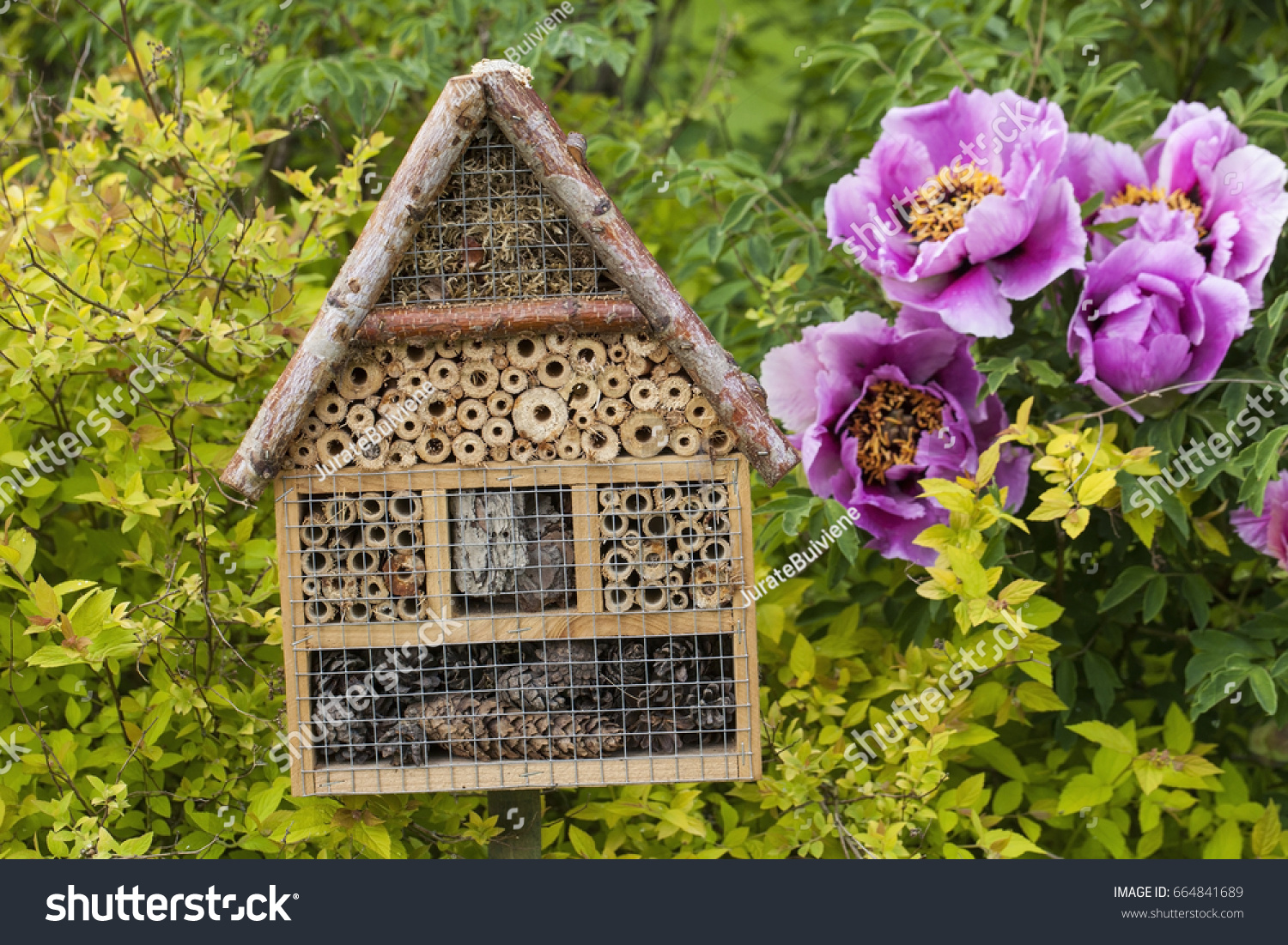 Insect house in a summer garden #664841689