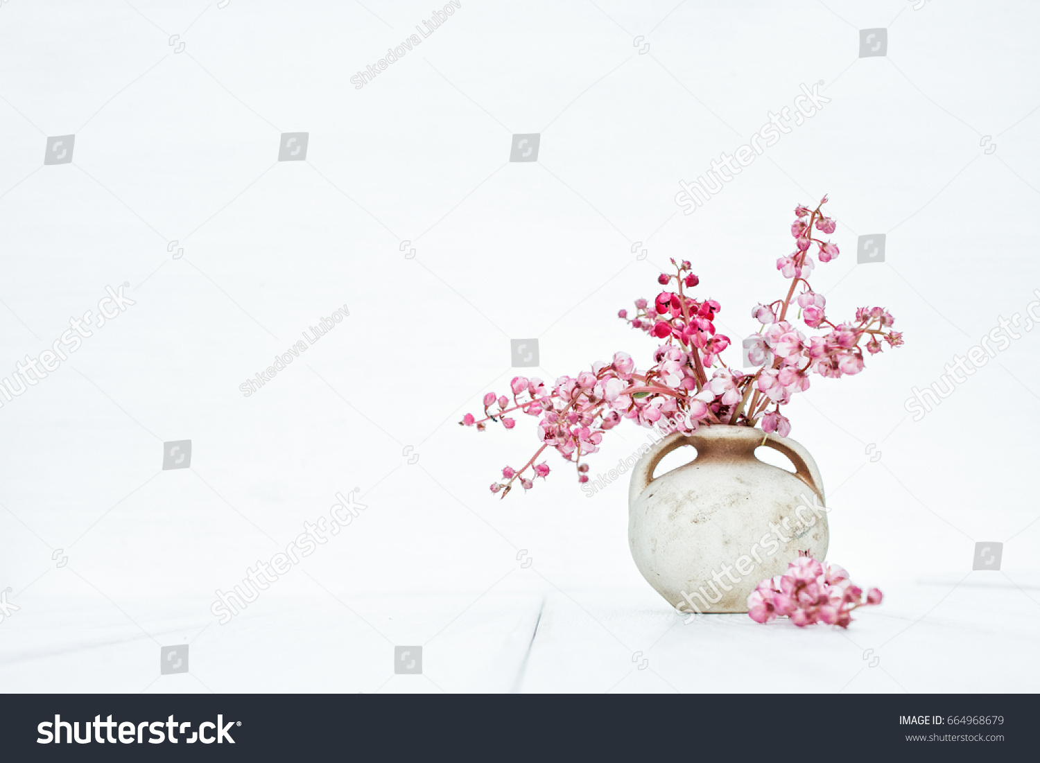 Pink flowers in vintage vase on a stylish white background. Beautiful fantasy romantic minimalist still life. Space for text #664968679