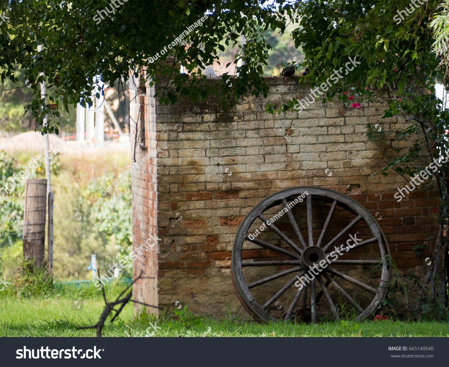 Old fashioned wagon wheel this brick wall background this Green grass and shrubs around #665140540