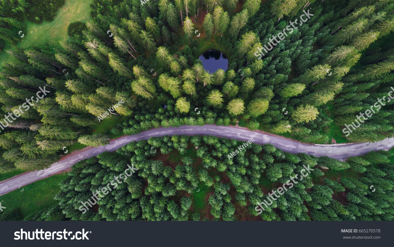 Aerial view of Pokljuka forest and meadows #665270578