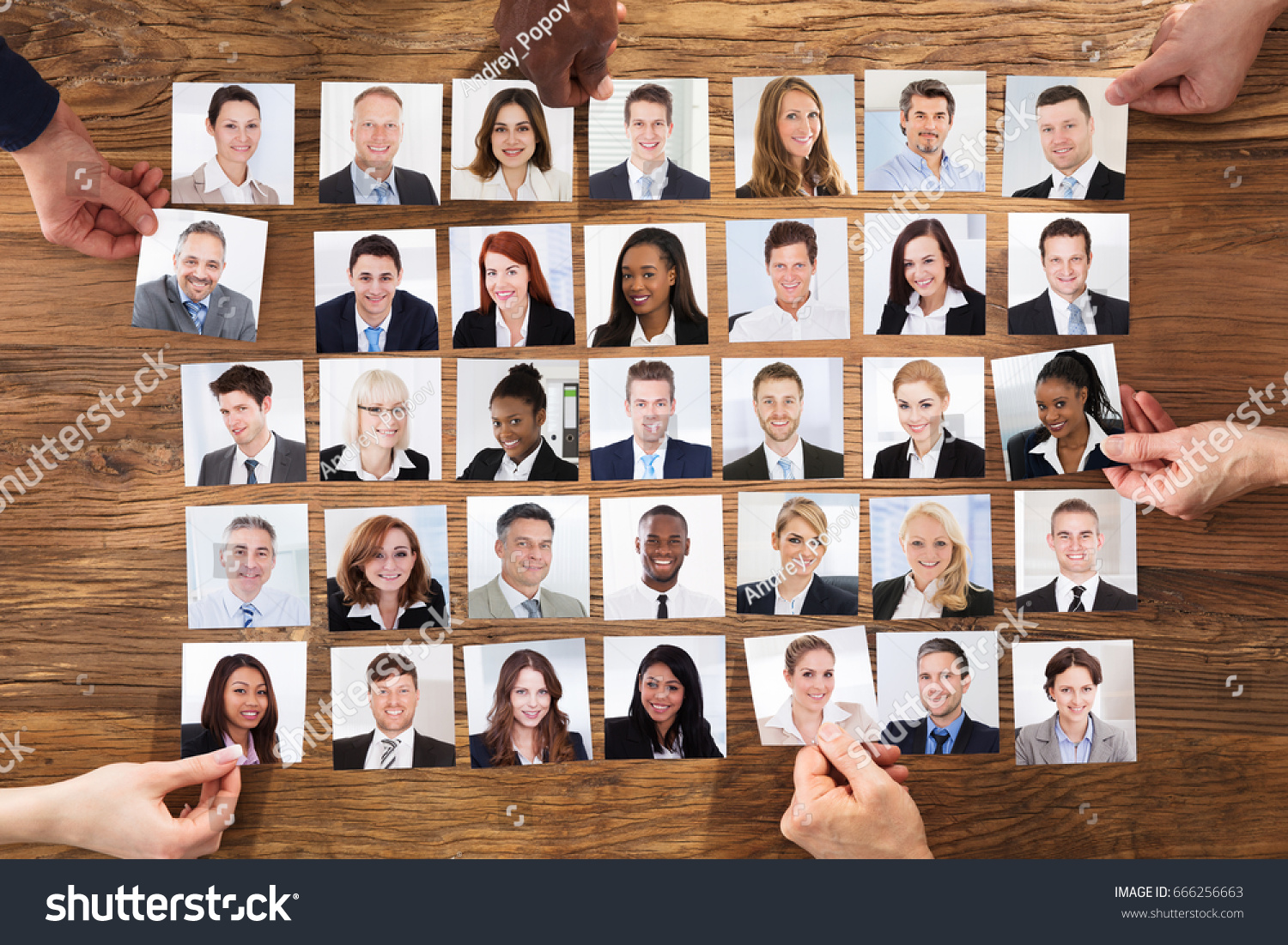 Businesspeople Hand Selecting The Candidate Portrait Photo For Hiring In Job #666256663