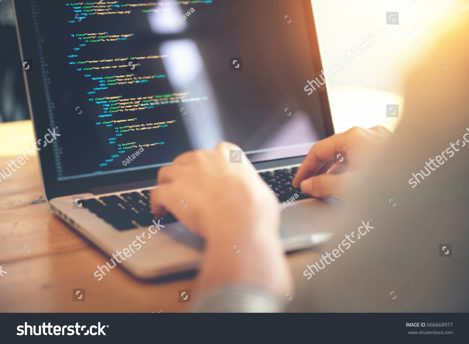 Closeup coding on screen, Woman hands coding html and programming on screen laptop, development web, developer. #666668977