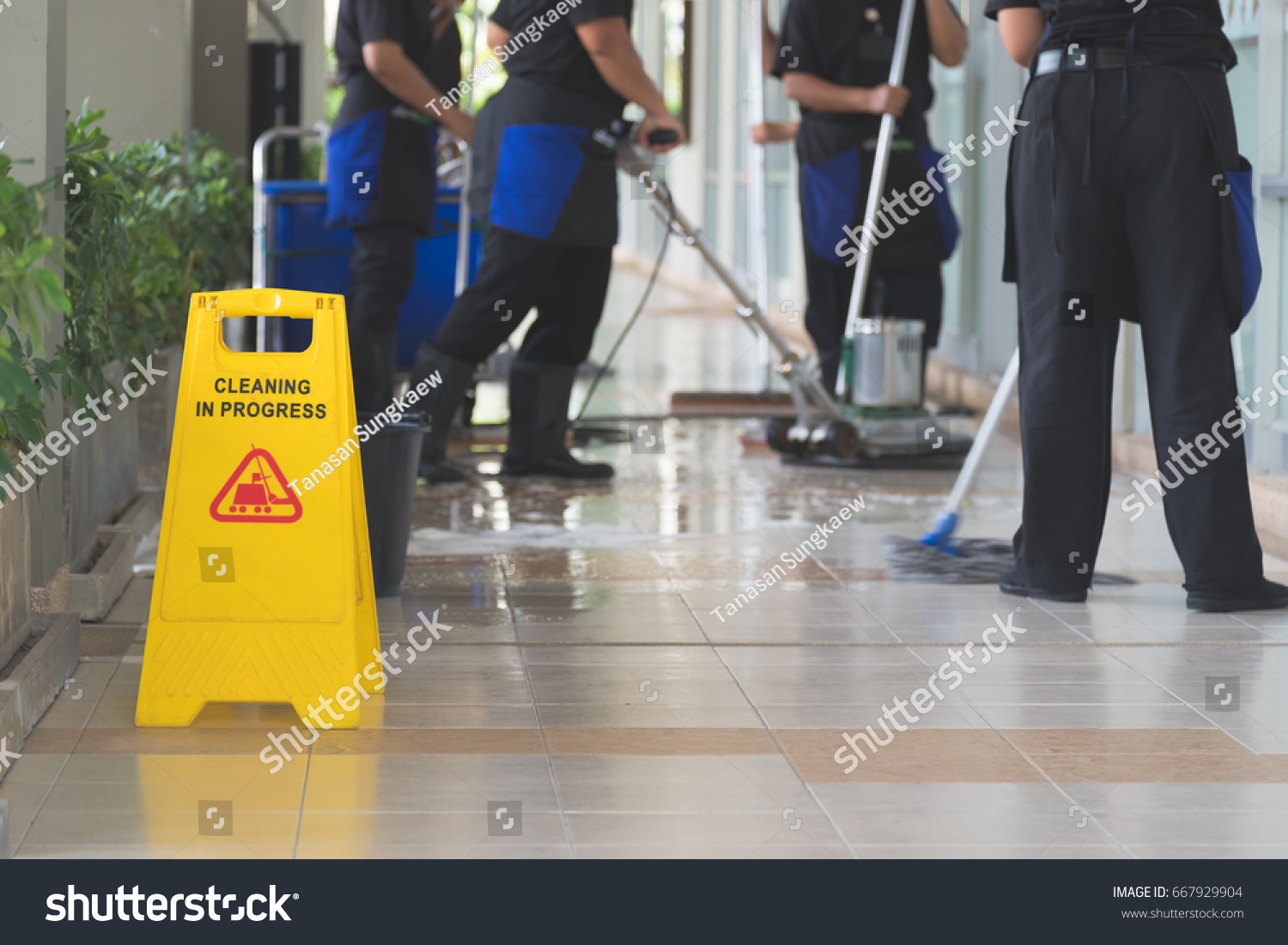 Cropped image of group of woman in protective gloves using a flat wet-mop and machine while cleaning floor #667929904
