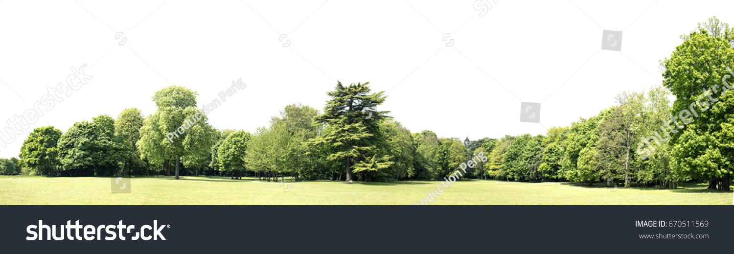 View of a High definition Treeline isolated on a white background #670511569