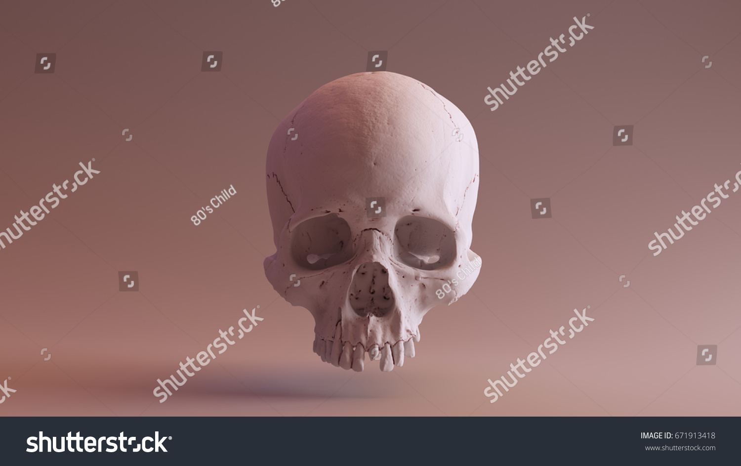Clay Skull Front skull scan SCSU VizLab thingiverse scsuvizlab CC Attribution #671913418