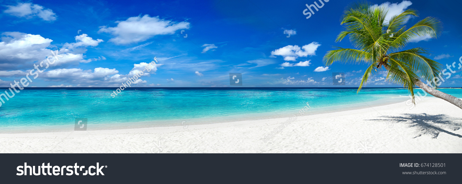 tropical paradise beach with white sand and coco palms travel tourism wide panorama background concept