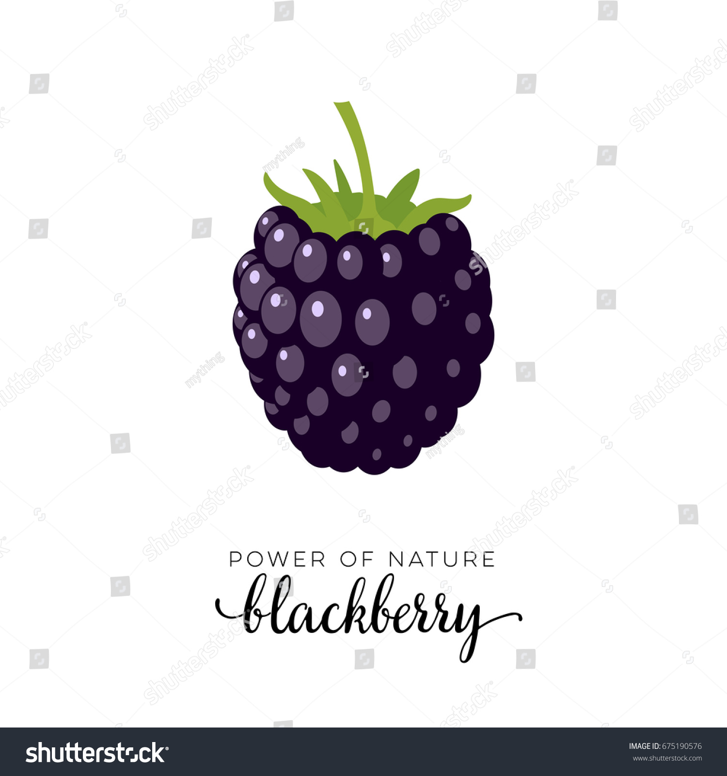 Dark purple blackberry berry flat icon with inscription colorful vector illustration of eco food isolated on white.  #675190576