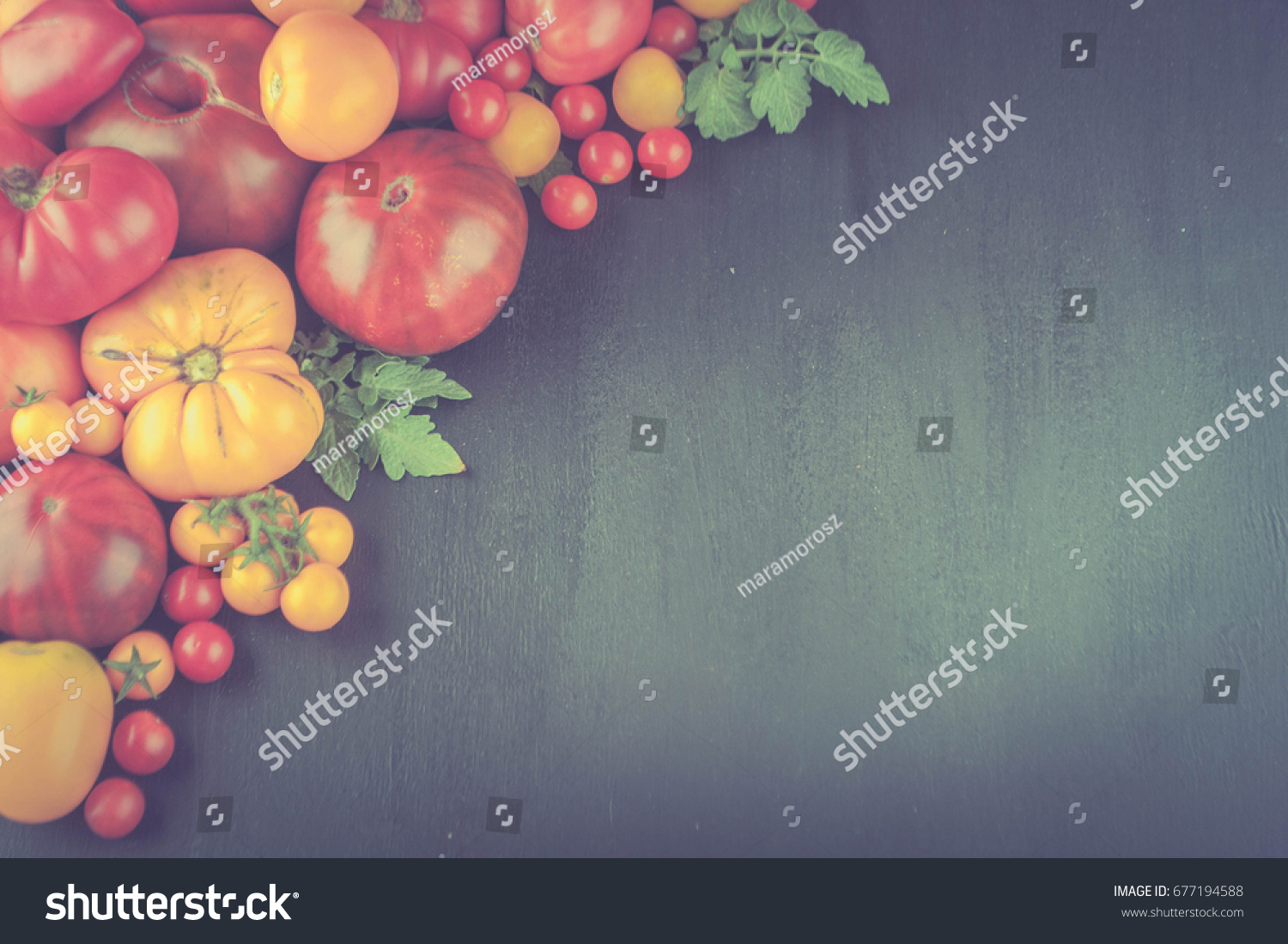 variation of fresh ripe tomatoes on wooden background #677194588