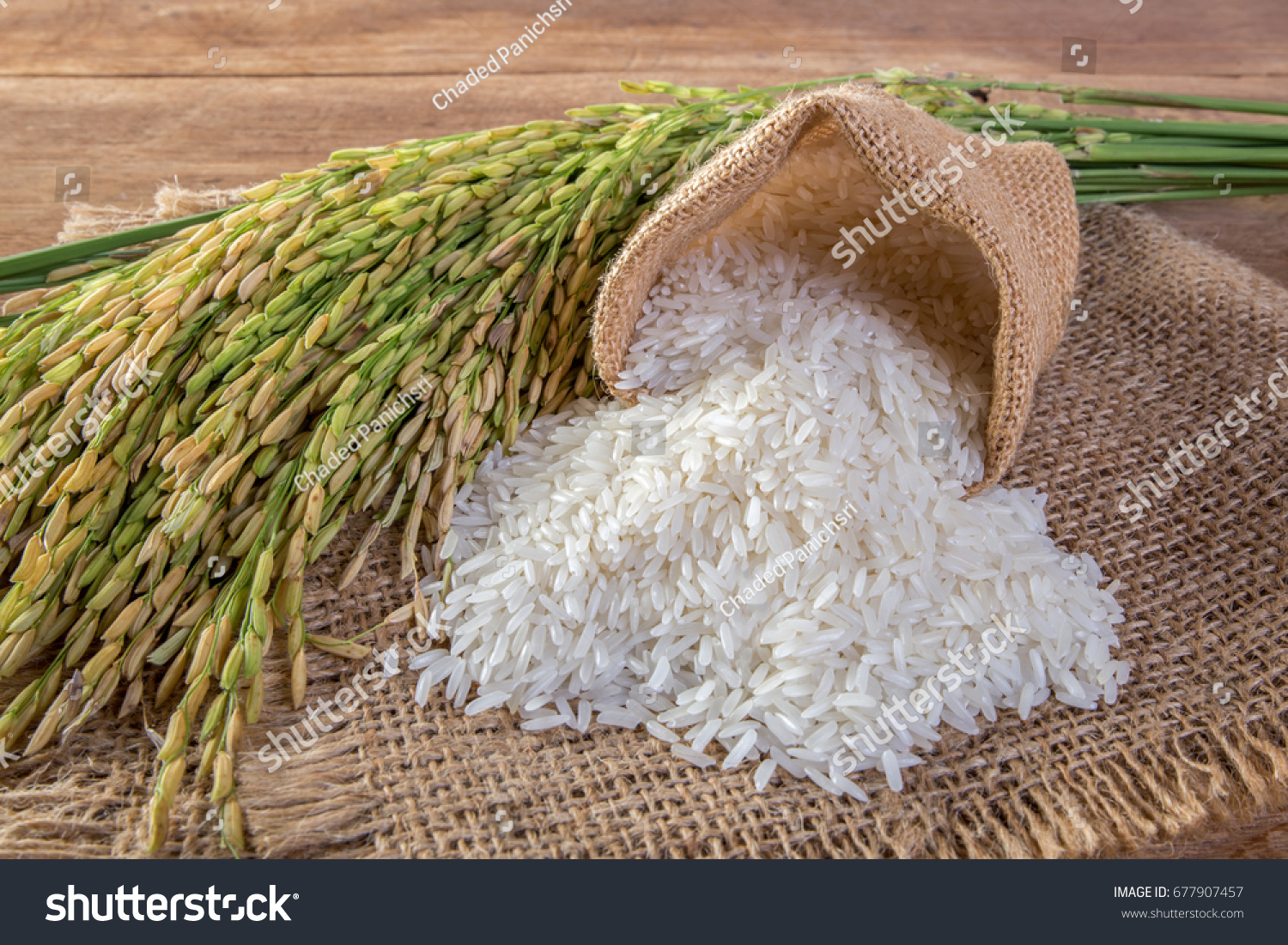 White rice (Jasmine rice) #677907457