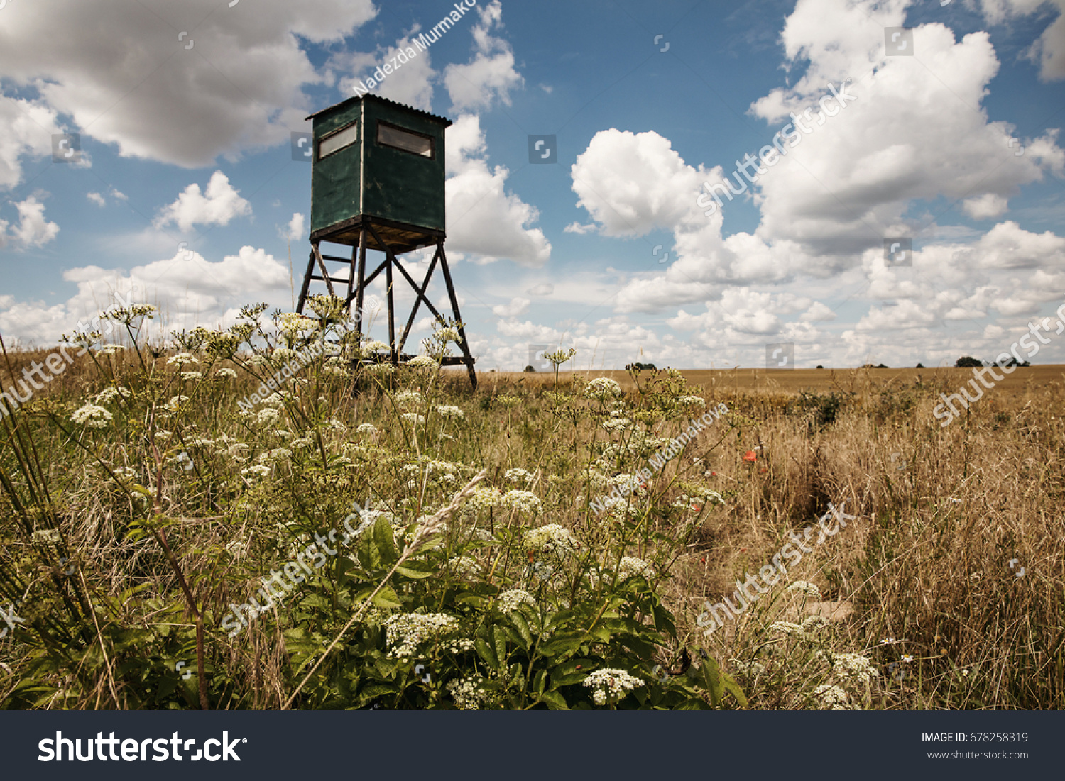 Animal watching tower on field. Sky with clouds. #678258319