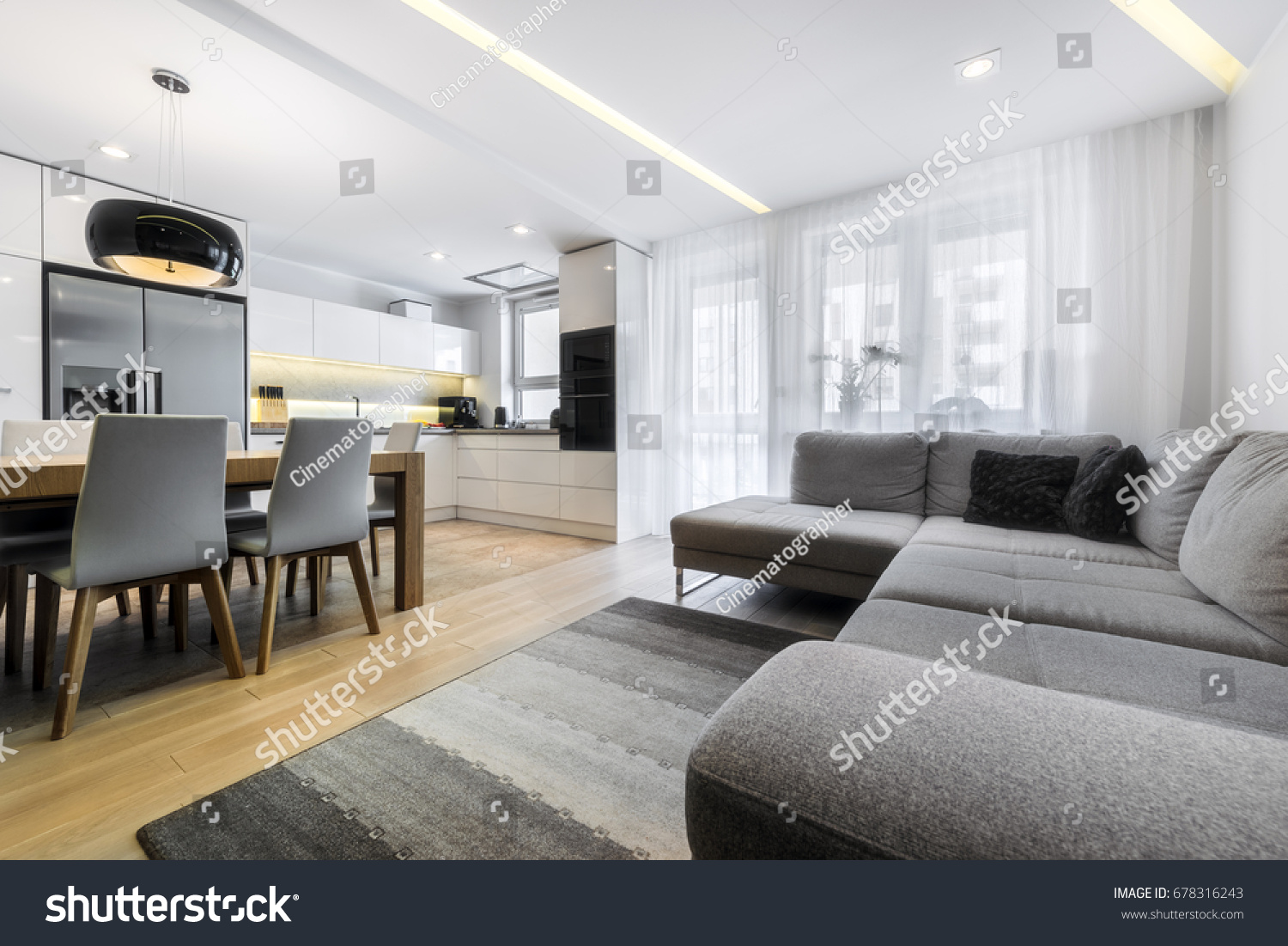 Modern living-room and kitchen in stylish apartment #678316243